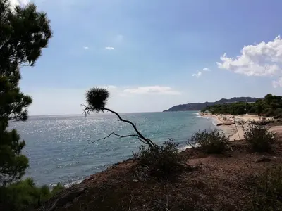 Paesaggio naturale nelle vicinanze della casa vacanze