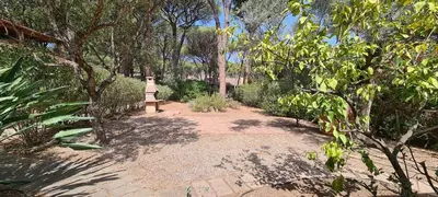 Giardino di Calaverde Pula Il Giardino di Alessandra