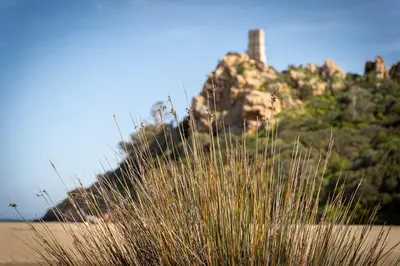 Paesaggio naturale nelle vicinanze dell'affittacamere
