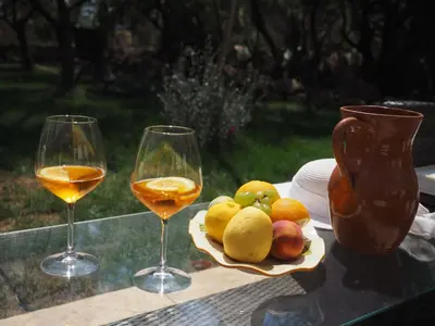 Bevande di villa Dammar