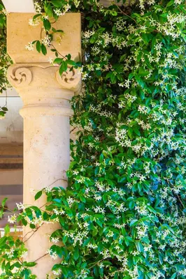 Giardino di Tartheshotel