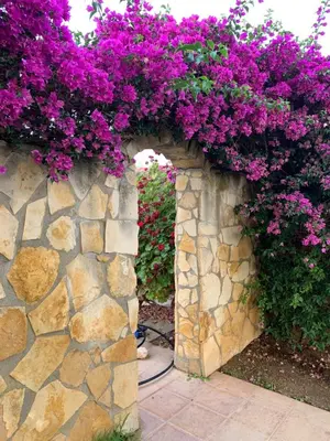 Giardino di VIlla Sunlight Sardegna