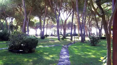 Giardino di Asfodelo