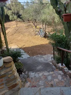 Giardino di Paraiso Sardo 1