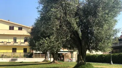 Edificio in cui si trova l'appartamento