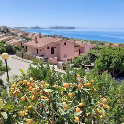Il giglio vista mare