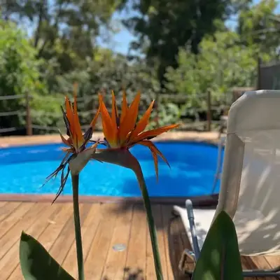 Villa ranch