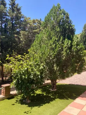 Giardino di Villa Lidia per una vacanza di relax