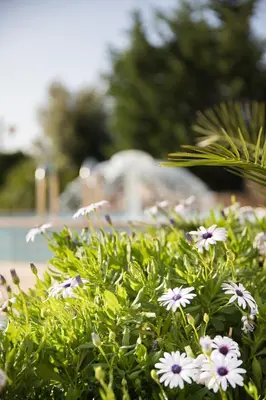 Giardino di Lu' Hotel Porto Pino