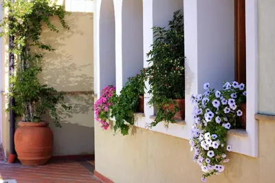 Giardino di Hotel L'Ulivo
