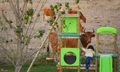 Area giochi per bambini di Albergo Ristorante Pizzeria Monte Arcosu