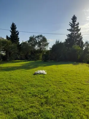 Giardino di La ReStanza