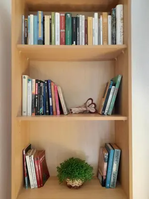 Biblioteca nell'affittacamere