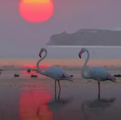 Paesaggio naturale nelle vicinanze dell'appartamento