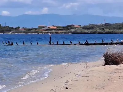 Paesaggio naturale nelle vicinanze dell'appartamento