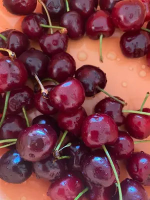 Cibo presso l'appartamento o nelle vicinanze