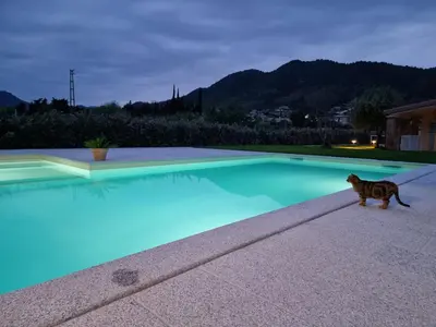 Ospiti di Agriturismo Sa Jana Holidays - Adults Only con animali domestici