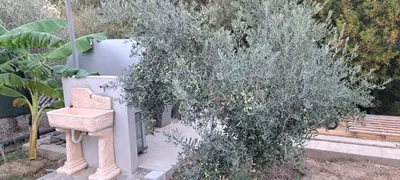 Giardino di Casa Terra Del Sole
