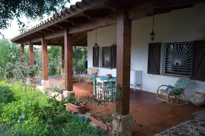 Giardino di Jungle Room