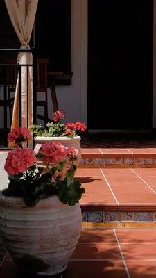 Planimetria di Villa Assunta