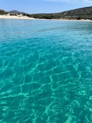 Paesaggio naturale nelle vicinanze dell'appartamento