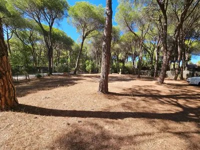 Paesaggio naturale nelle vicinanze della casa vacanze