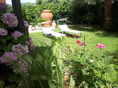 Giardino di Villa degli Ulivi