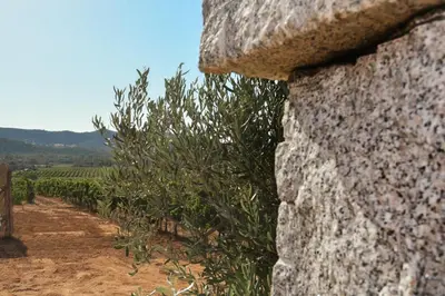 Paesaggio naturale nelle vicinanze della casa vacanze
