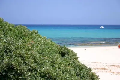 Paesaggio naturale nelle vicinanze dell'appartamento