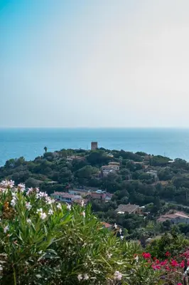 Planimetria di Villa Lyra - Private with Incredible Sea and Sunset Views with Hot Tub