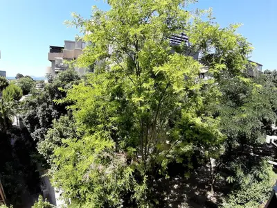 Paesaggio naturale nelle vicinanze dell'appartamento
