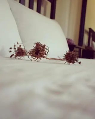 Letto o letti in una camera di Dimora Arborea