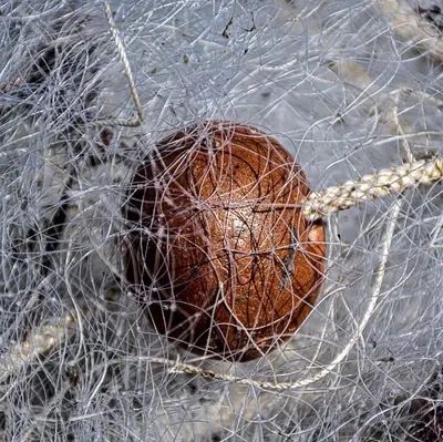 Planimetria di Dimora Arborea
