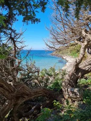 Paesaggio naturale nelle vicinanze della casa vacanze