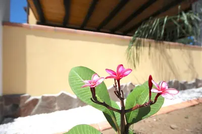 Planimetria di Villa Il Melograno