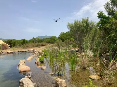 Paesaggio naturale nelle vicinanze di questo campeggio di lusso