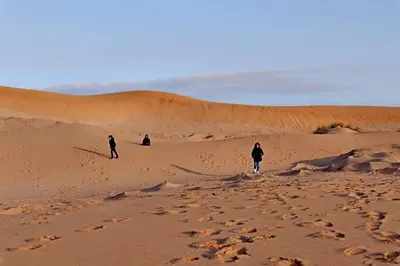 Ospiti di Le Dune Dorate