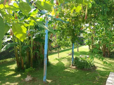 Giardino di l'Oasi-Bungalow la Madonnina