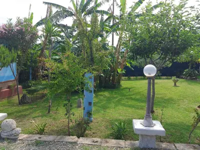 Giardino di l'Oasi-Bungalow la Madonnina