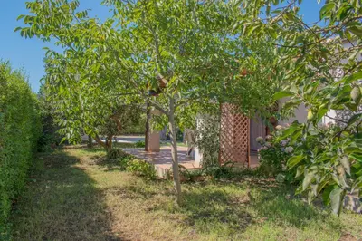 Giardino di Casa vacanze Tortoli'
