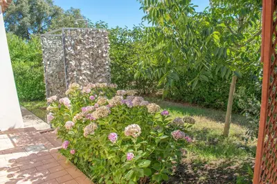 Giardino di Casa vacanze Tortoli'