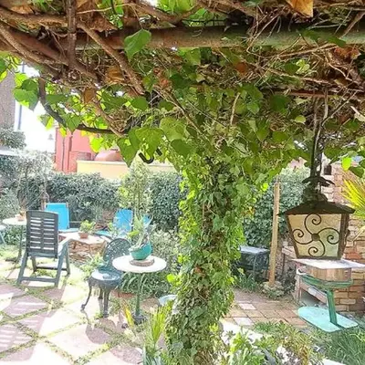 Isabel's house