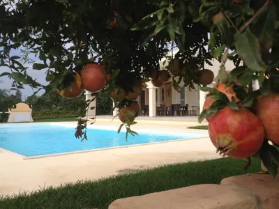 Piscina di Villa Bulcrini o nelle vicinanze