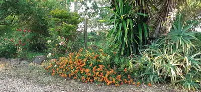 Giardino di Isuedda