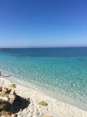 Paesaggio naturale nelle vicinanze dell'appartamento