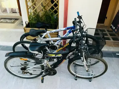 Attività di ciclismo presso la casa vacanze o nelle vicinanze