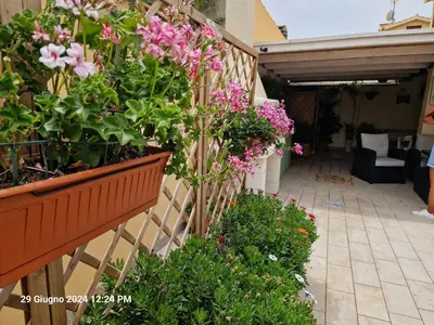 Giardino di Villa Kate Pula Sardegna