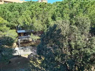 Paesaggio naturale nelle vicinanze dell'appartamento