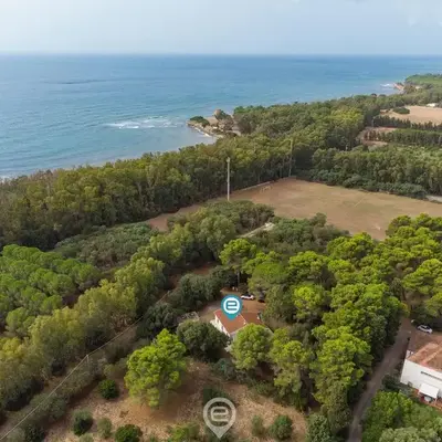 Casa Flamingo