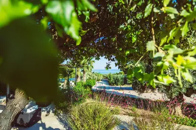 Giardino di Hotel Rio Molas